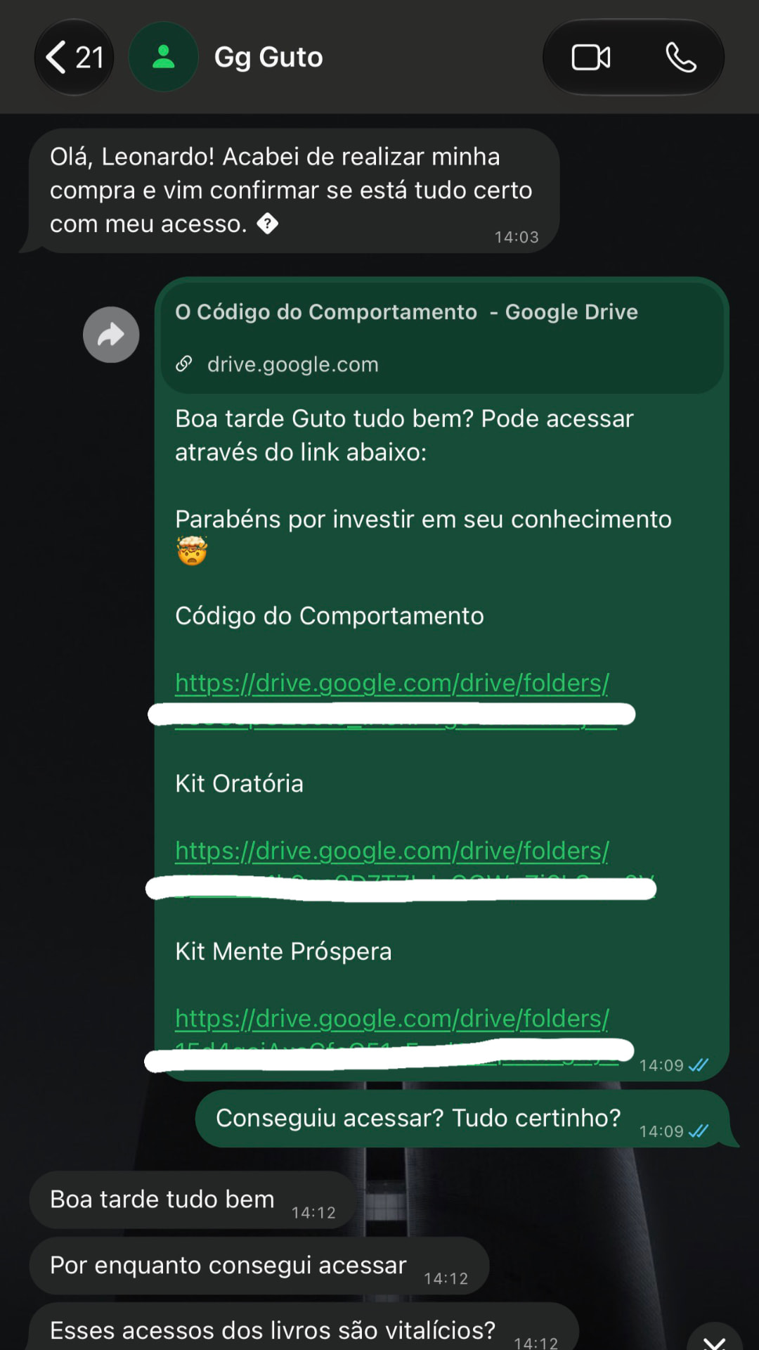Conversa de WhatsApp com cliente recebendo o acesso aos livros